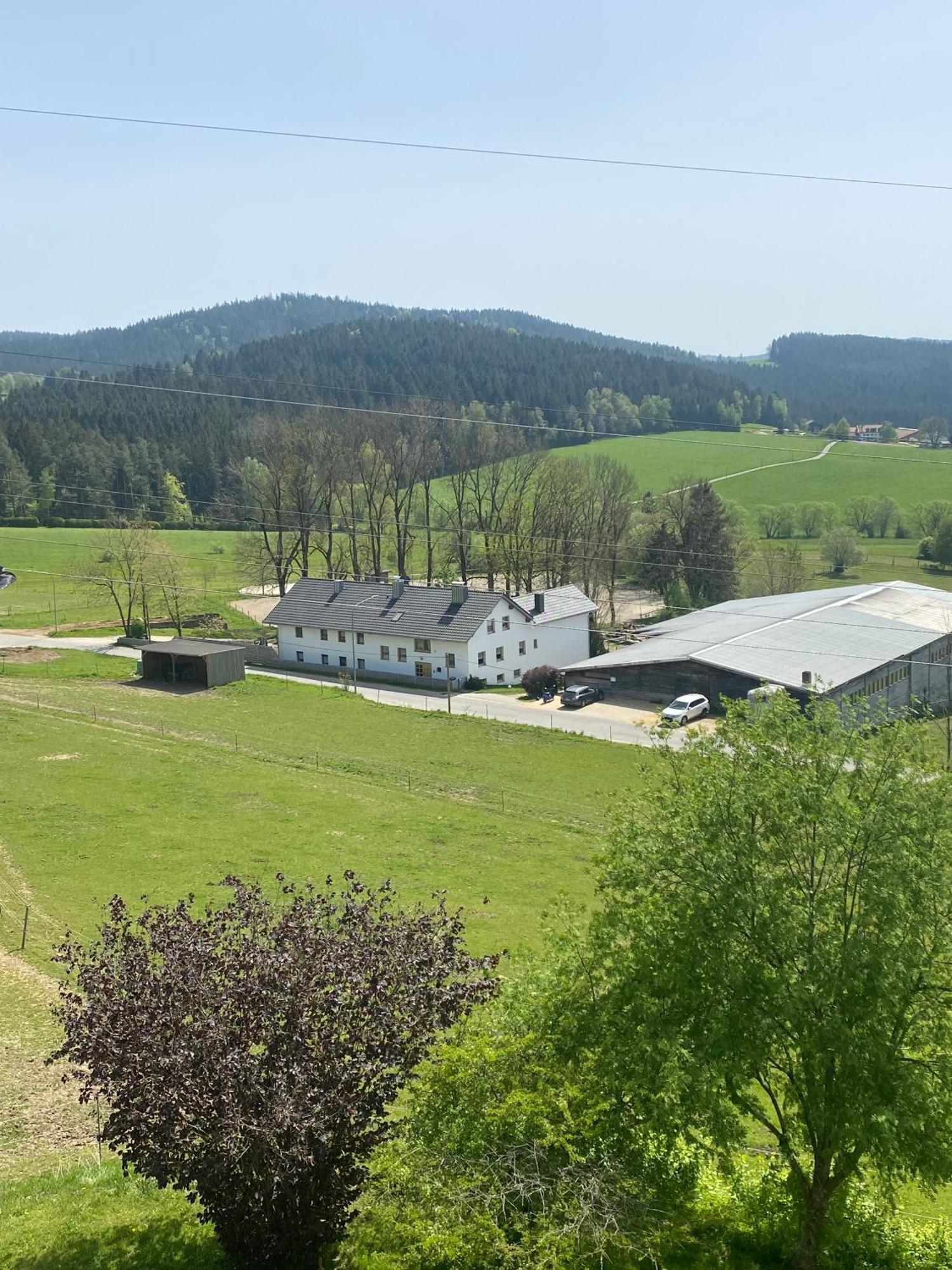 Lussen Apartamento Regen Exterior foto