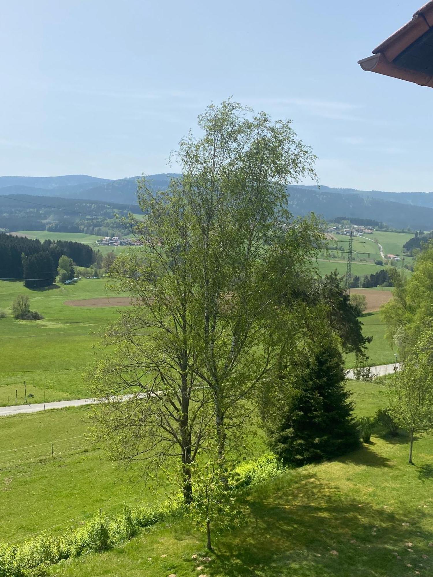 Lussen Apartamento Regen Exterior foto